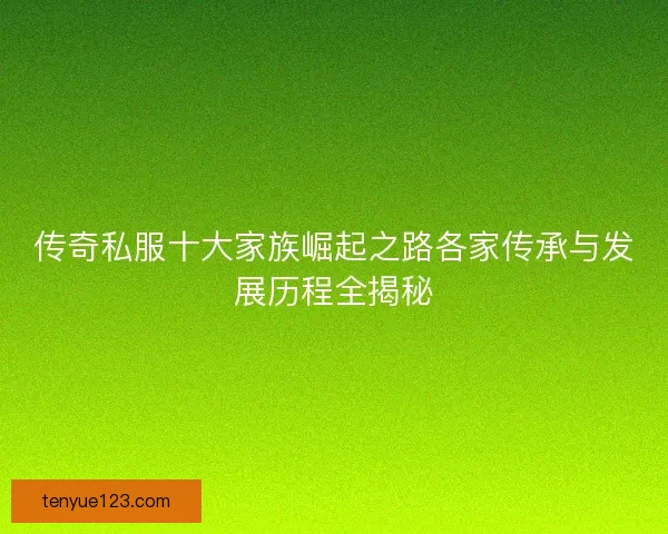 传奇私服十大家族崛起之路各家传承与发展历程全揭秘 传奇私服十大家族崛起之路各家传承与发展历程全揭秘