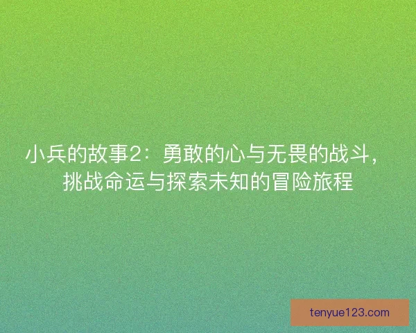 小兵的故事2：勇敢的心与无畏的战斗，挑战命运与探索未知的冒险旅程